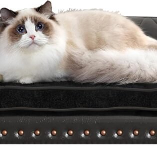 Dog Sofa and Chair Luxury PU Leather Pet Sofa Chair with Copper Nail Dog Couch Wooden Frame Cat Sofa Chair Suede Cushion for Small Dogs Black