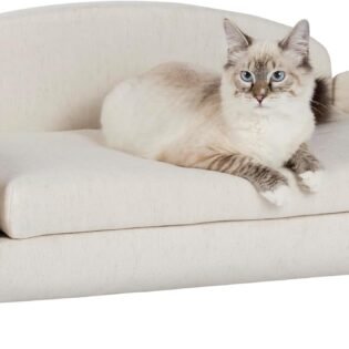 Modern Pet Sofa Low Back Lounging Bed with Removable Mattress Cover Espresso Oatmeal