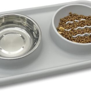 Slow Feeder Dog and Cat Bowls Stainless Steel with Silicone Mat Food and Water Bowl Set for Cats Small Dogs and Puppies