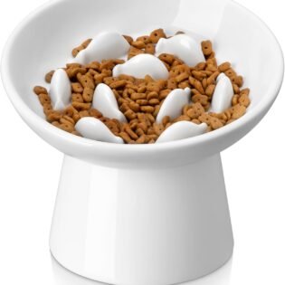 Ceramic Slow Feeder Cat Bowl Elevated Design Anti Vomiting Bowl for Dry and Wet Food
