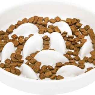 Ceramic Slow Feeder Cat Bowl Wide Design for Cats