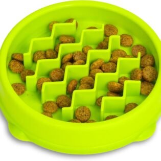 Kitty Slow Feeder Bowl for Cats and Kittens