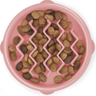 Fun Feeder Slow Bowl Dog Slow Feeder Wave Design