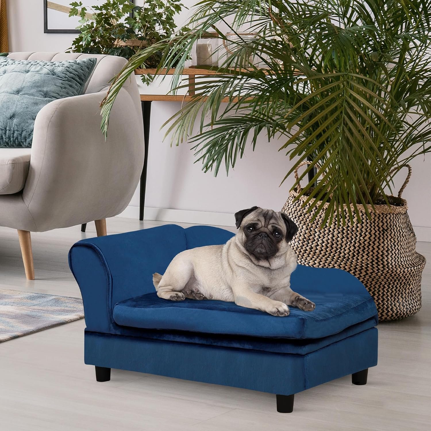 Luxury Fancy Dog Couch with Hidden Storage Small Dog Sofa Bed with Soft Foam Modern Pet Furniture for Puppies and Little Breeds Blue - Image 2